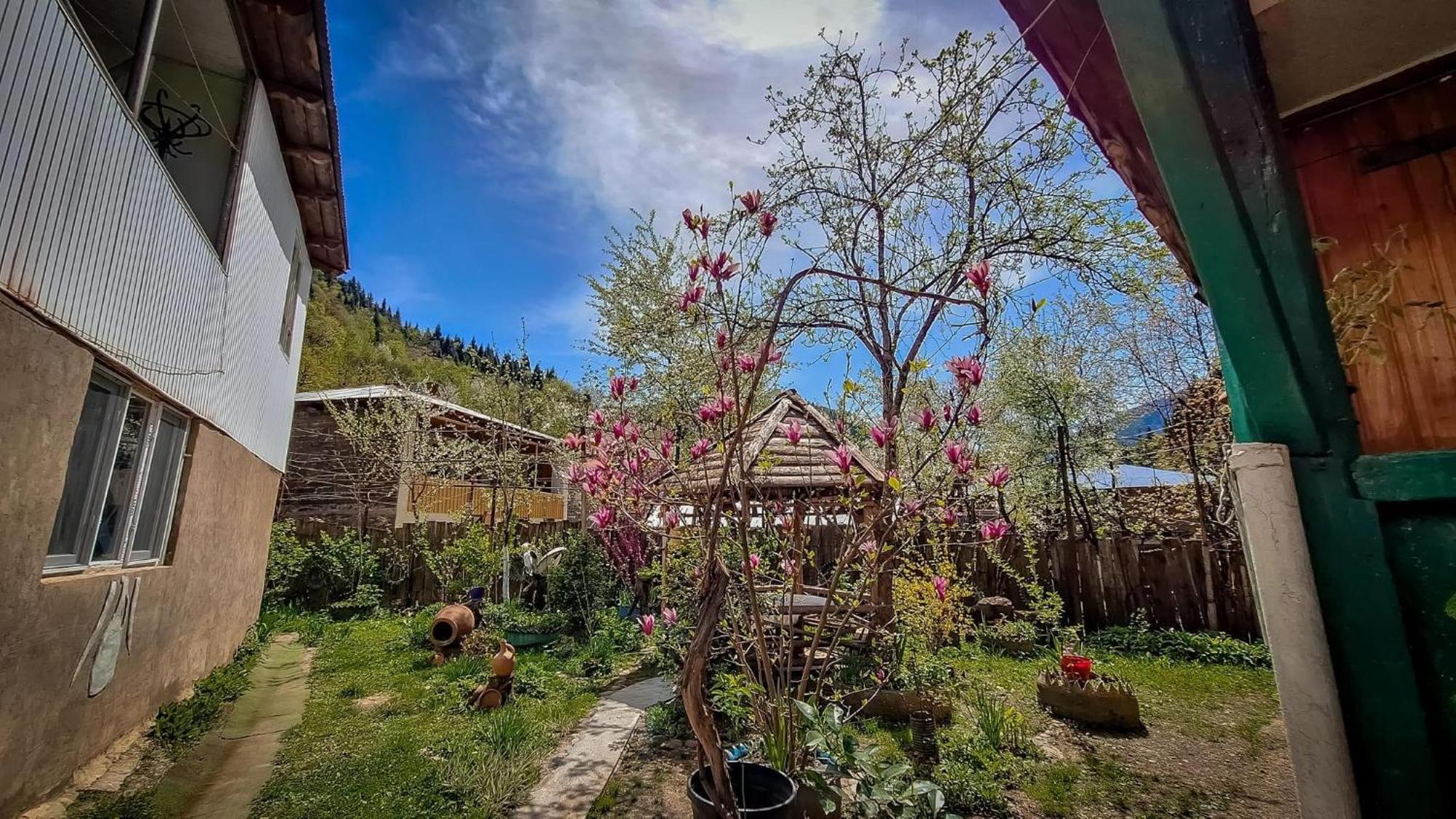 Guest House "Svaneti" Lentekhi Exteriér fotografie